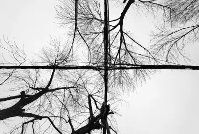 ビリオン カジノ モバイルアプリ